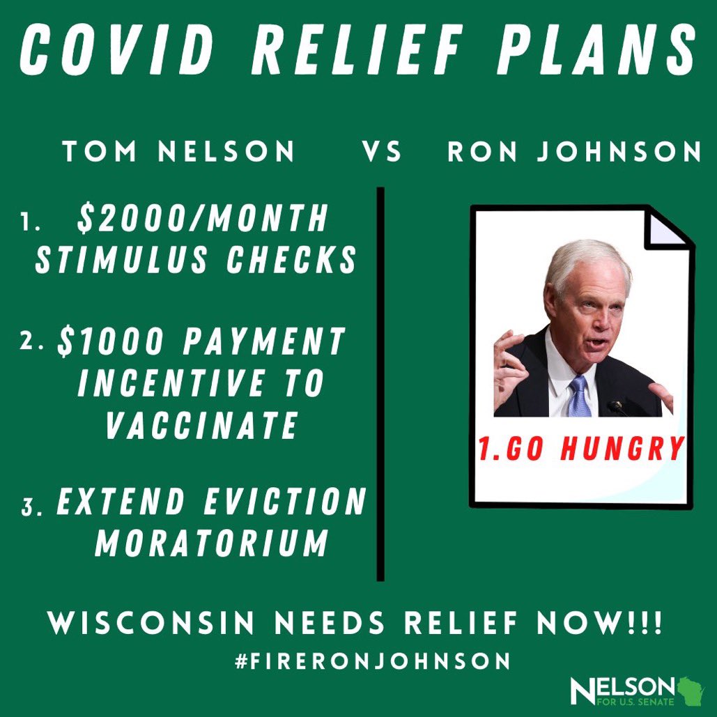 NelsonforWI's tweet photo. Just a reminder that Ron Johnson fought to give himself a $205K tax break in the last stimulus and now he’s fighting to stop you from getting a nickel in the new bill. 

I have a stimulus plan for working people, not people who own two million-dollar homes like @SenRonJohnson. https://t.co/Q4eZ669uOz