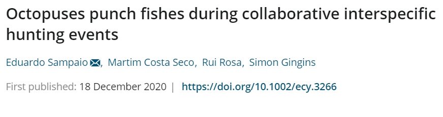 Roses are red, 2020 has been intense......