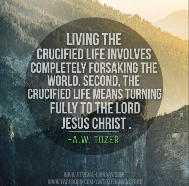 AmyRebekahButl1's tweet photo. We can’t expect GOD to be the source of peace if the world is the source of our satisfaction...
#CrucifiedLife
#KingJesus https://t.co/HzA8Sl00Oz