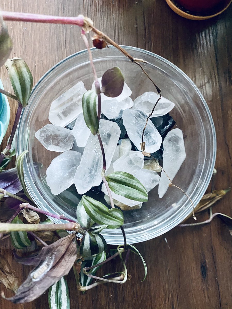 Rey_Imani's tweet photo. Getting a little sunbath for some cleansing & charging. 🔮☀️
A nice sunbath for a few hours every now & then is sure to cleanse your crystals.
#QueensANU #rawclearquartz #suncharged #crystals #crystalfacts https://t.co/sNjEYaJjrF