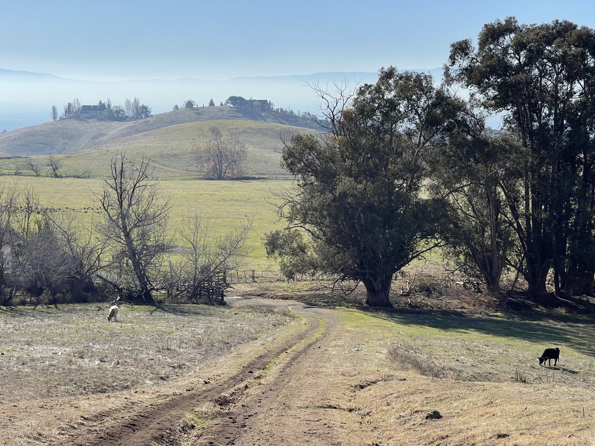 IrvindG's tweet photo. Warm winter day hike @SCCParks #EdRLevin County Park. Hills starting to turn green. Perfect Sunday @ Home.
#Sun #Rain #Explore #Parks4Life #PixInParks #Nature #Hike #FreshAir #OptOutside #WanderLust https://t.co/nLu0prQgcv