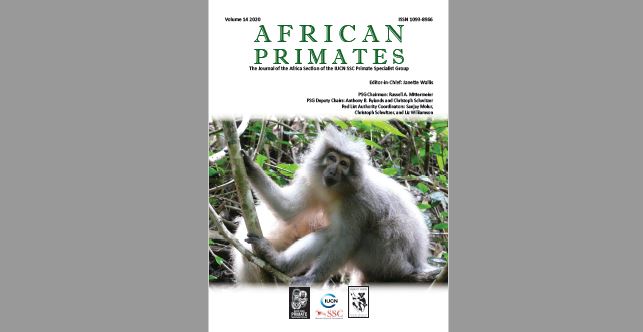African Primates tweet media