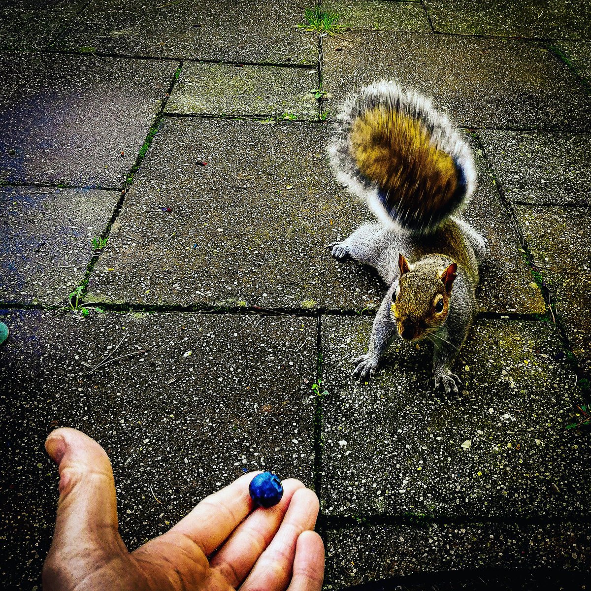 He has such a well balanced diet......