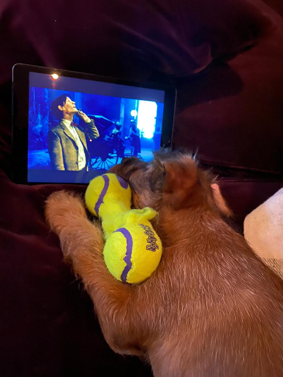 Bobby loving it tooooooo 🥰