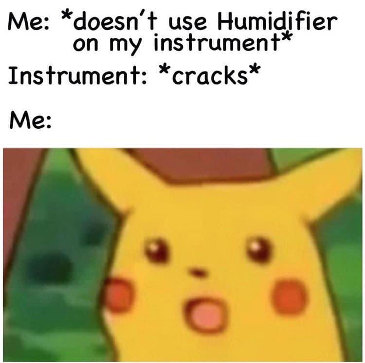 It’s that time of year! Properly humidifying your instrument will help prevent many issues with pegs, tuning, open seams, etc. 

Message us if you would like recommendations on a humidifier for your instrument!