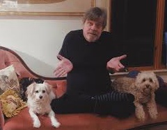 MarkHamill tweet picture