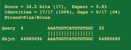 So the first thing people get excited about is that portions of the primers will hit with 100%with 17/17 residues hitting the human genome. But you will notice the 3' end of the primer doesn't match and that is the business end of the primer.
