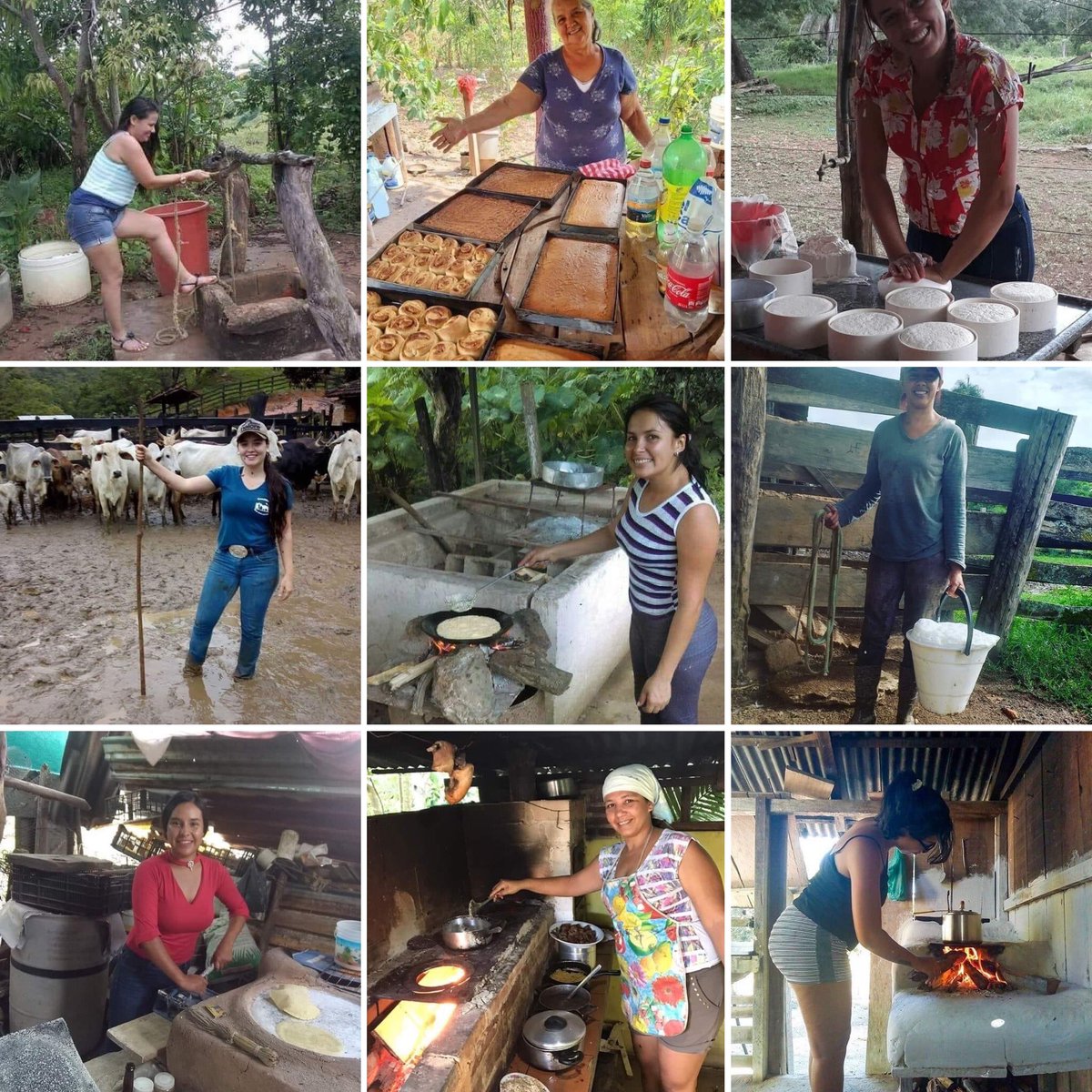 love_veracruz_'s tweet photo. Un reconocimiento a nuestra lindas y trabajadoras mujeres del campo, sin ellas nada sería igual, no seríamos nada. Hacen de todo, trabajan, estudian, luchan, sacan adelante a la familia, son madres, esposas, hijas, tías, sobrinas. #Veracruz https://t.co/XdoWRwP584