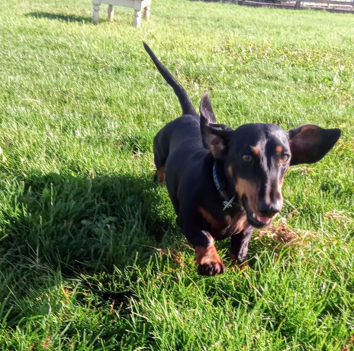 Lisa Wright tweet media