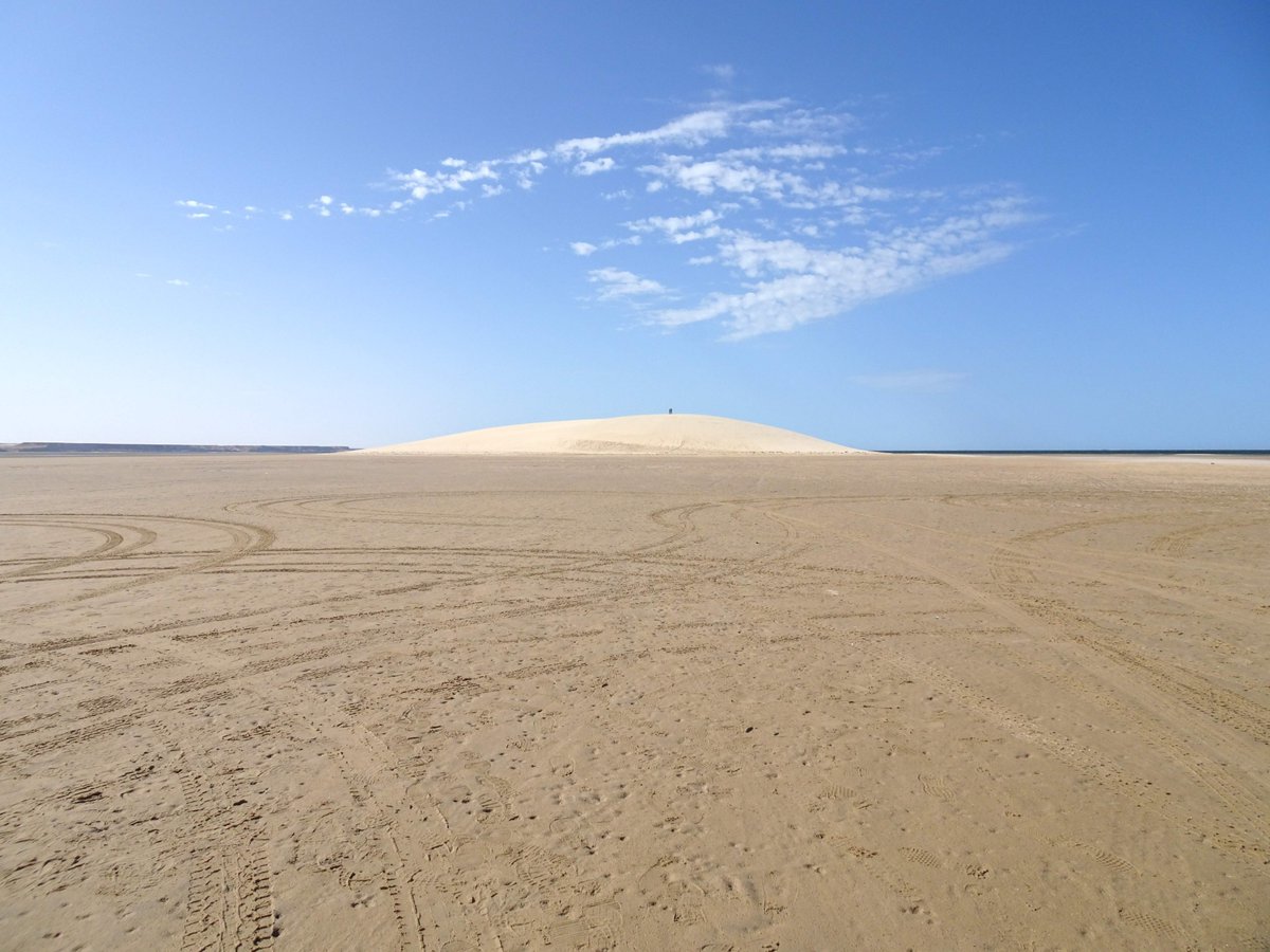 PierreBrouwers's tweet photo. Diffusion du film "Dakhla" le 31/12 à 7h sur @TV_Voyage ! Pierre Brouwers part à la découverte d'une région où le temps n'a pas prise.

Les DVD des films sont disponibles dans la collection DVD Guides sur le site https://t.co/lkuBCdy5wz
#Dakhla #Surf #Maroc #documentaire #Voyager https://t.co/kQYPbZM4TU