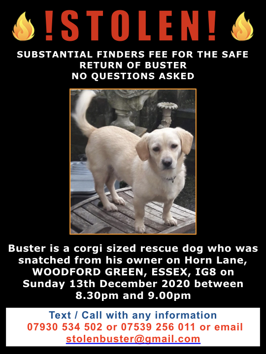 #STOLEN SUBSTANTIAL FINDERS FEE FOR THE SAFE RETURN OF #stolenbuster Buster is a corgi sized #rescuedog who was snatched from his owner in #WoodfordGreen, #ESSEX on Sunday 13th December 2020 between 8.30pm and 9.00pm.Text / Call with any information07930 534 502 or 07539 256 011