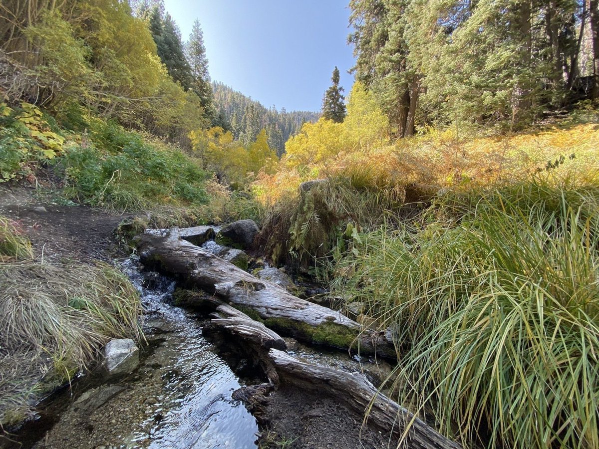 Trail crosses cool San Gorgonio Wilderness 
#hiking #optoutside #California
 tinyurl.com/yb3b7rlg