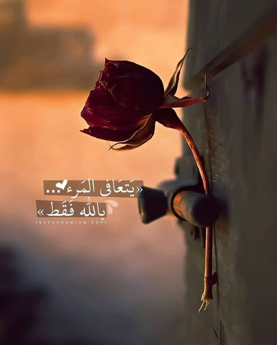 #غدا_انتفاضه_الخريج_المعتصم
