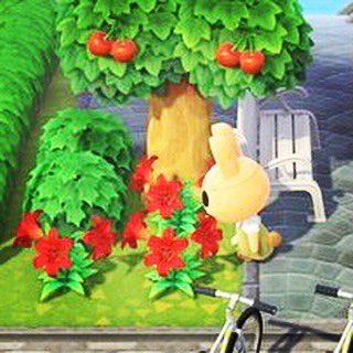 cozyhann_'s tweet photo. ๐ฐ โธโโโ ๐ฐ
โข
A Coco appreciation post. Iโve recently got her on my island (never had her before) and sheโs quickly becoming my favourite villager, sheโs so cute ๐ฅฐ
#animalcrossingnewhorizons #acnh #nintendoswitchuk #newhorizons #animalcrossingcommunity #gaming #elegantcore https://t.co/zhejVlgVY3
