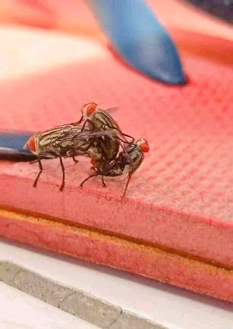 Is this Islamic Republic of Pakistan?? 🙄