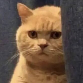 Las Popes chismosas😏 tweet media