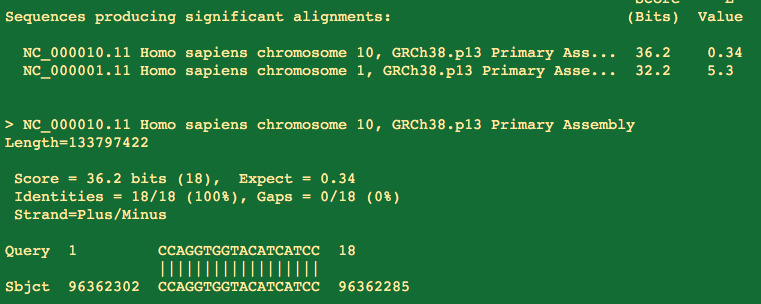 Just to be thorough, Lets look at the probes. I say Probes because the RdRp probe is a nightmare with multiple degenerate bases and hairpins. The 5 prime end of the probe does anneal. This end of the molecule has the FAM dye on it and will be liberated even if partially annealed