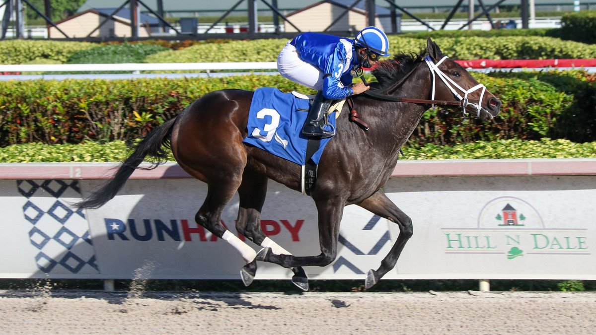 First starter Zaajel crushes the field in the 7th race, <a href="/luissaezpty/">Luis Saez</a> at the reins for trainer <a href="/PletcherRacing/">Todd Pletcher Racing Stables</a> and <a href="/ShadwellFarm/">Shadwell Farm</a>. #GulfstreamPark #ChampionshipMeet
