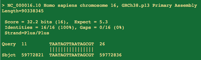 Onto the E gene assay. It does have a 16 bp perfect homology to Human chromosome 16. 3 prime end matches. Does the reverse land in the same neighborhood?
