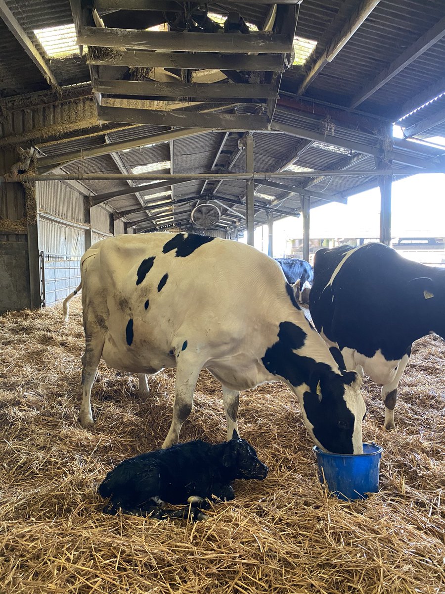 Never get tired of seeing sights like these, my kind of therapy!