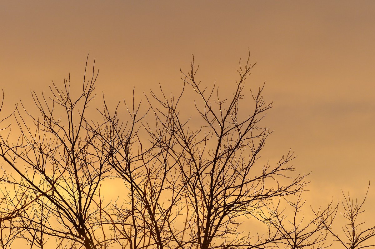 Magical late afternoon post-rain light in late February