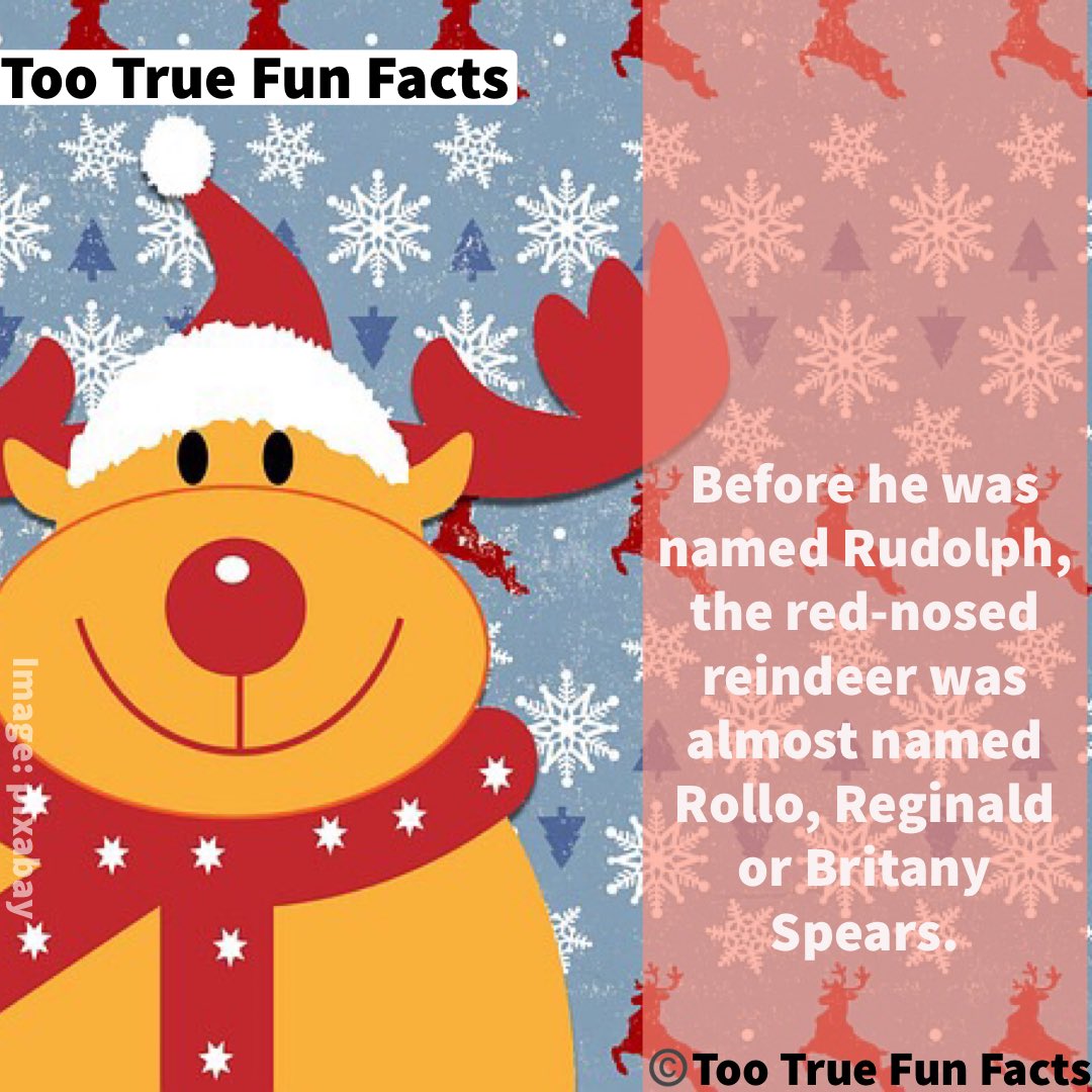 Rudolph Fun Fact
#Christmas #christmassongs #Comedy #Funny #FunniestTweets #Meme #Memes #MemesDaily #Lol #Lols #Lolz #Humor #Humour #Parody #ParodyAccount #Satire #Fact #Facts #FunFact #FunFacts #Trivia