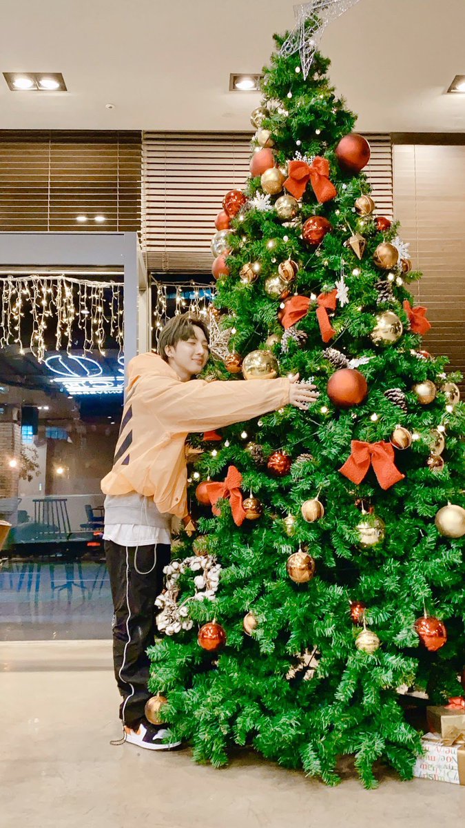 huithinker's tweet image. hugging the tree in tiny