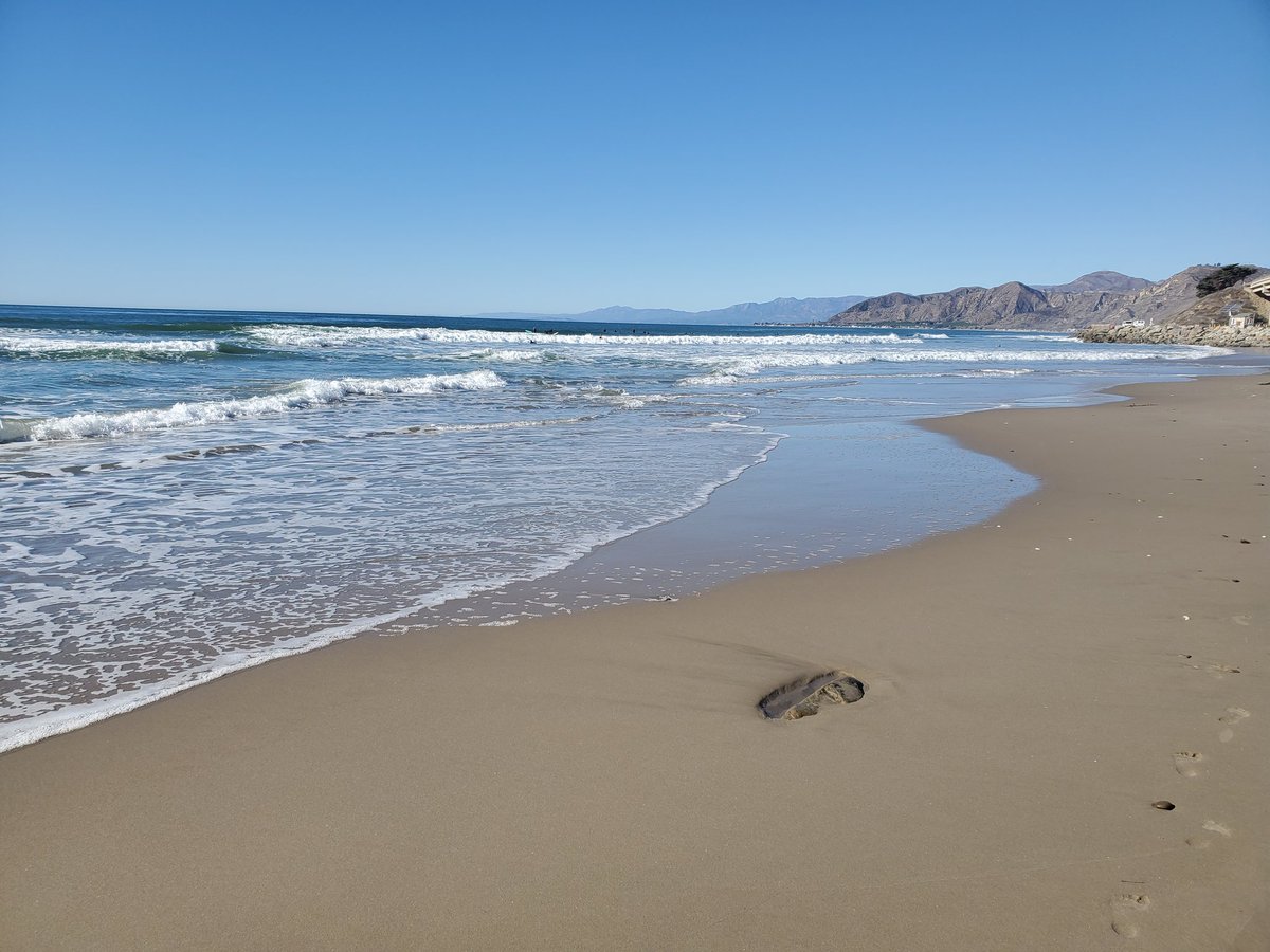 BeautifulBats's tweet photo. Hows it goin', Beach? https://t.co/MRSqVSxGDn
