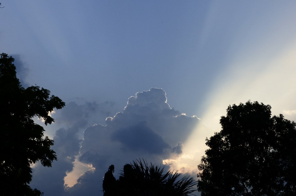 Clouds and sun and trees combining for excellence, August