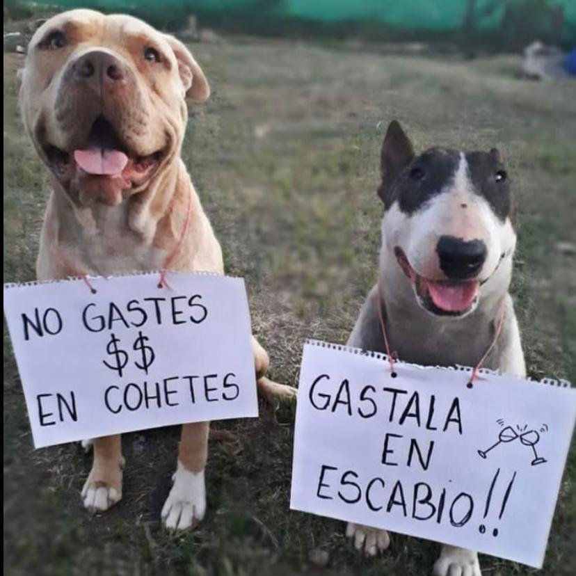 BebidasTonica's tweet photo. Hacelo por ellos! https://t.co/jMdyECaX21