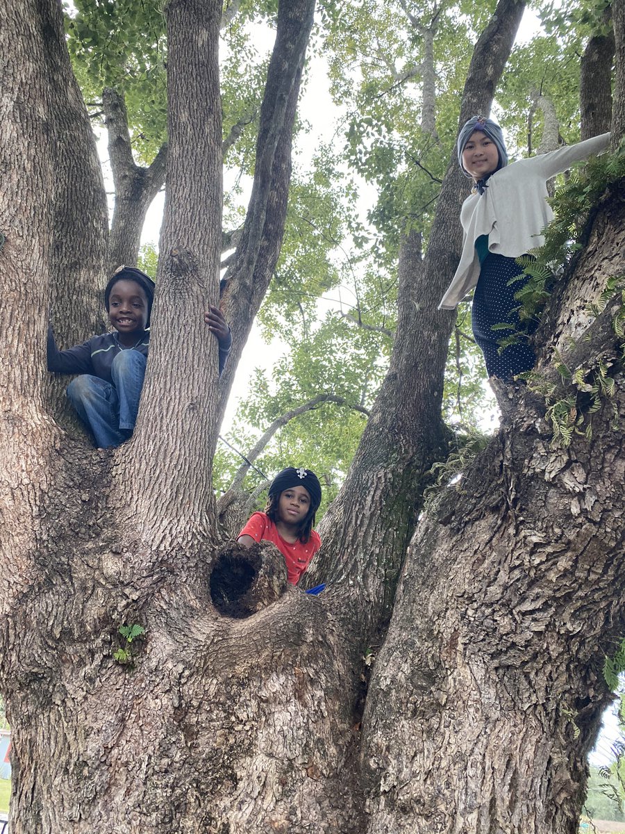 13Love to My Spiritual Tree BeyBeys.
Climbing in Tree I Planted over 45 years ago as a Child.
No Children of ELOHYIM 9.13 playing in same tree.
ELOHYIM is Real!

13Love
13Ahava
13Echad
13YahShem