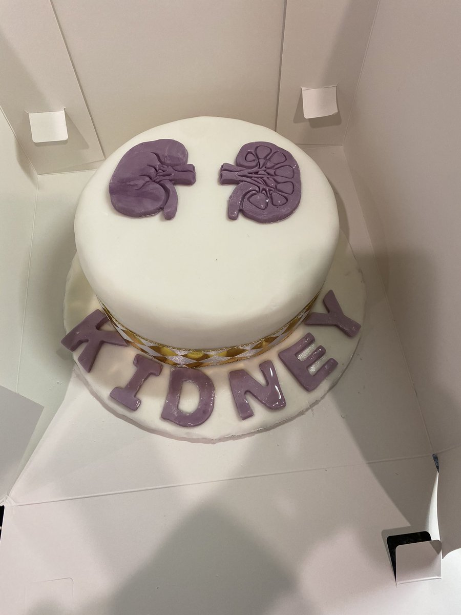 NurseRenal's tweet photo. Christmas cake ready for work tomorrow! #cake #kidneycake #work #christmascake #nhs #ggc #qeuh #renal #hospital https://t.co/WZW6lKZLRe