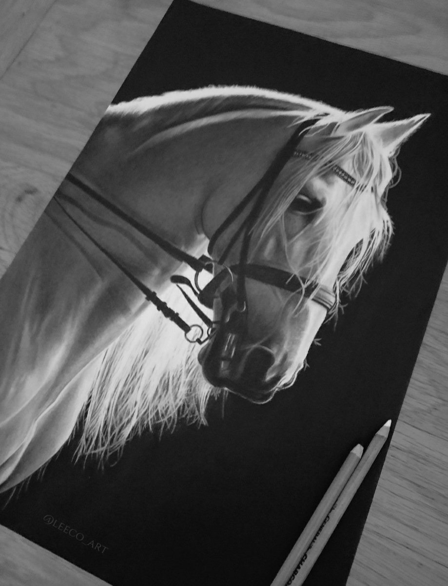 The White Horse.

Going out of 2020 with this one. Haven't drawn many animals but do plan on doing more next year. An enjoyable challenge indeed ✍
#artwork #ArtistOnTwitter #horseportrait