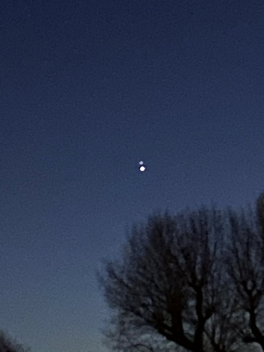 Kat's Miffed 💚 tweet media