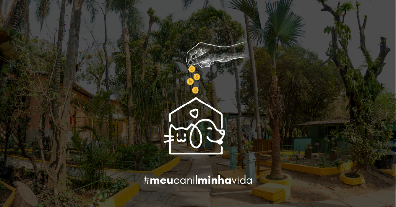 caoviverbh's tweet photo. .
Para doar: https://t.co/Nb39MhptRZ
Prefere transferência? Bradesco - Chave Pix - CNPJ: 05.907.661/0001-19
.
Muito obrigado por nos ajudar,
.
CÃO VIVER
Associação particular administrada por voluntários.
.
#meucanilminhavida #kickante https://t.co/DXsPKxqWcV