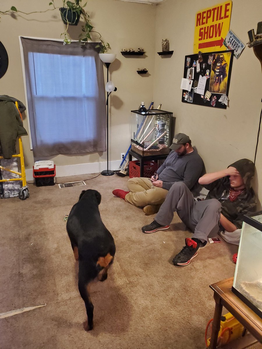 BradleyFish1's tweet photo. Yall ever come home to find your brother's have gotten into your house and mived your couch and coffee table into your bedroom? https://t.co/WMnI8awHsk