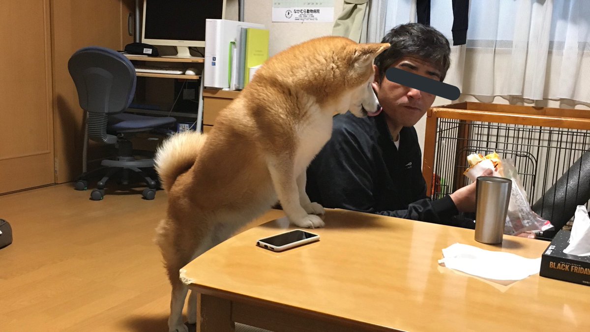 太る原因 Twitter Search