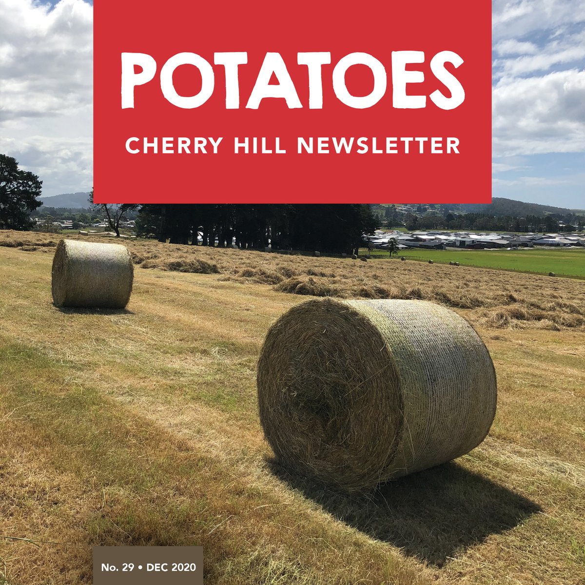 CHCoolstores's tweet photo. Merry Christmas everyone! In our December newsletter, Edition 29, we’d like to share with you the 2020 seed quality and dispatch summary; an update on another coolstore adding 3,600 tonnes of cool storage capacity;

Read on https://t.co/KenUOrWoTw https://t.co/FFPi9R3wZM