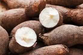 Did you know that the rural micro, small and medium food processors supply about 4 million metric tonnes (equivalent of 6.6 million tonnes) of processed cassava yearly?#farming #organicfarming #investinfarming #sponsorfarming