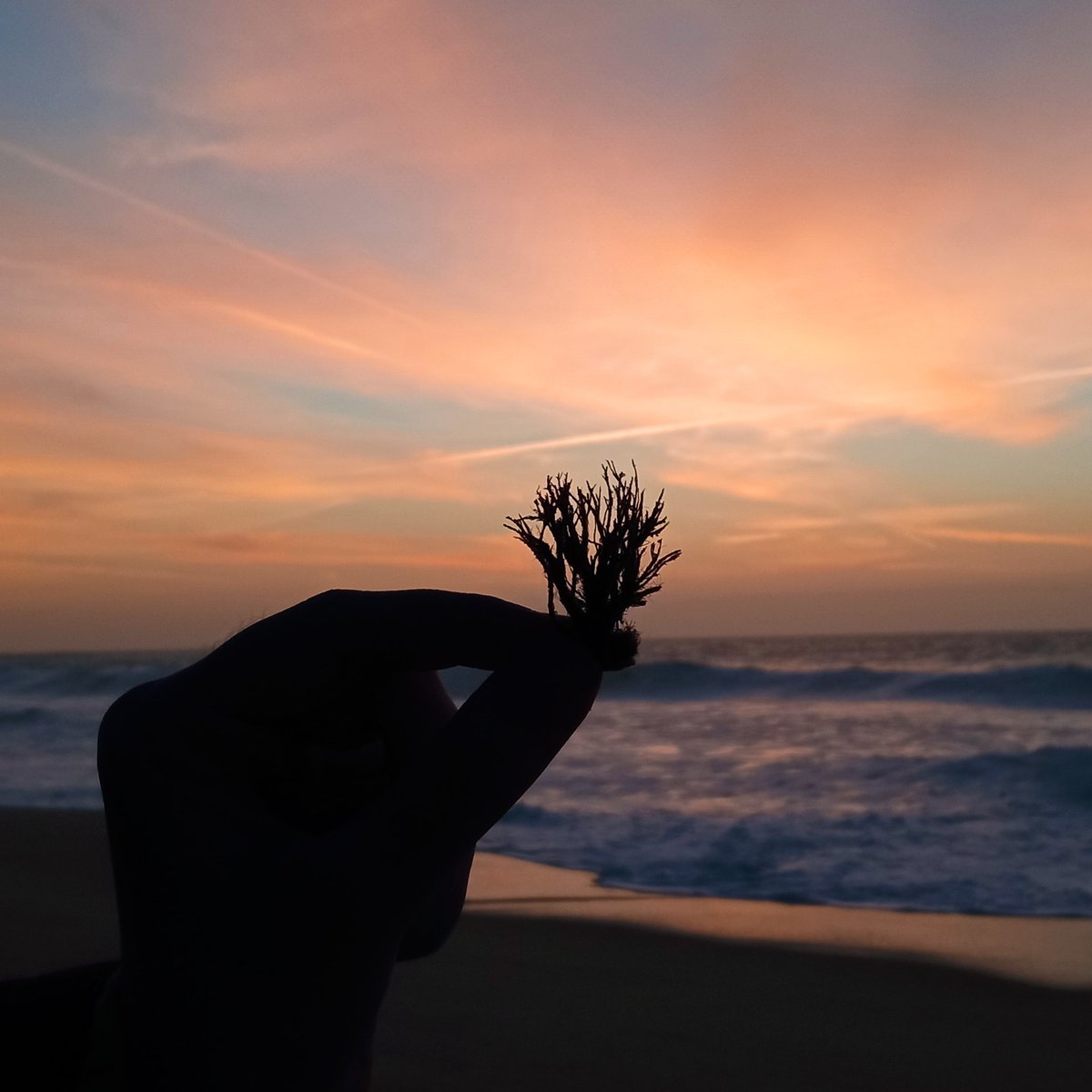 WaterloreM's tweet image. "For a brief moment I thought I could see you on the other shore"