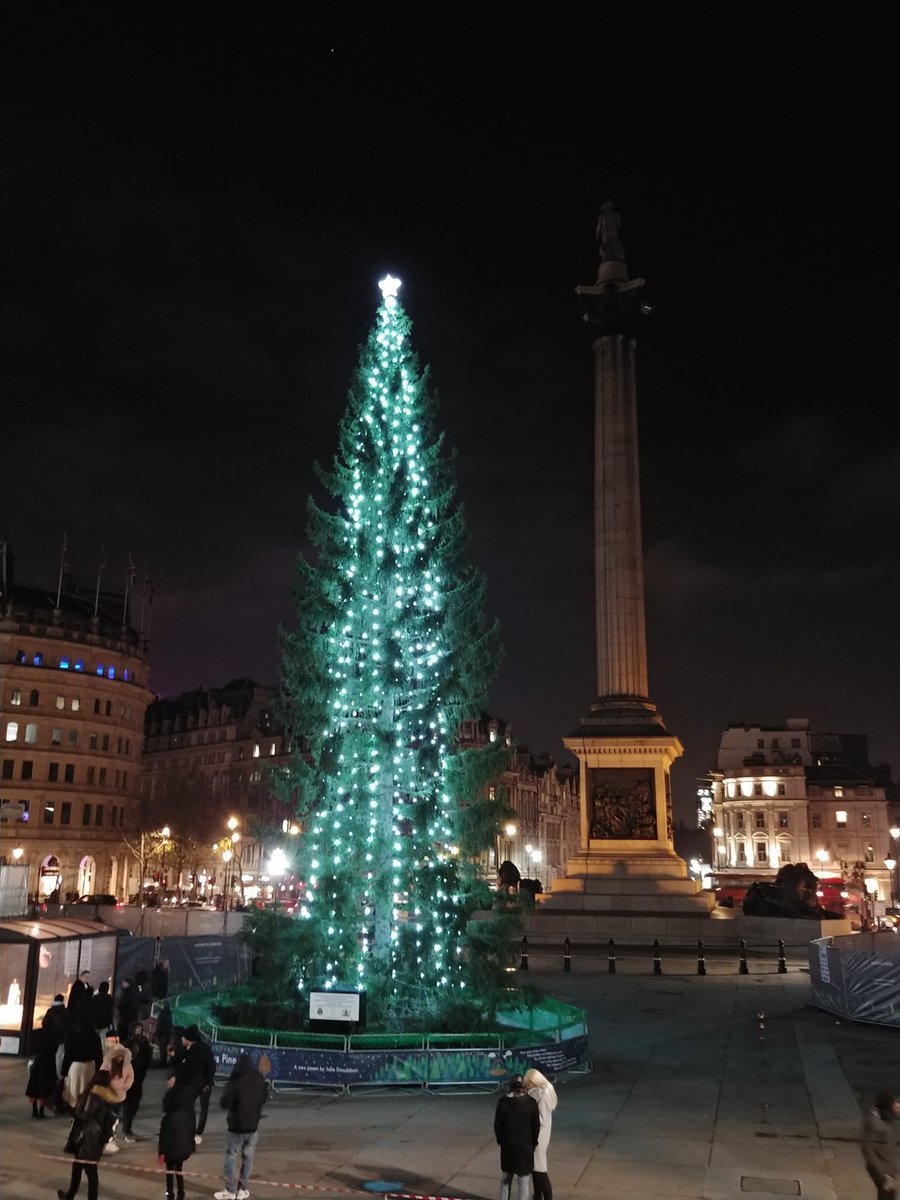 AlanCampot's tweet photo. Árboles de navidad de todas las formas y colores. Más de #LightsOfLondon, esta vez en: South Molton street/St Paul's cathedral/Covent Garden market/Trafalgar square. https://t.co/nE8PEbNcci