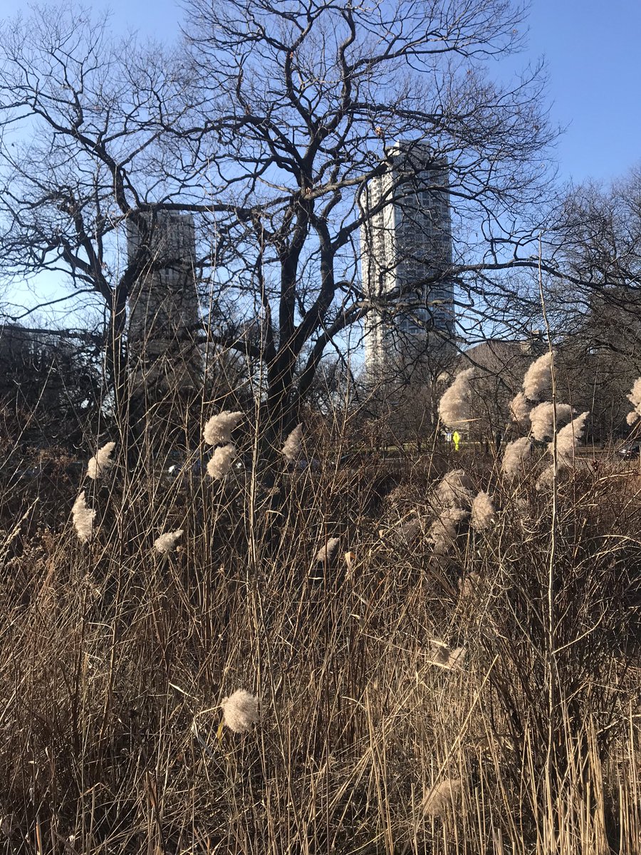 kgburke3's tweet photo. Final hours of Autumn 2020. #wakemewhenitsover #countdowntowinter #inthetimeofthecoronavirus y https://t.co/IS2HgPh0Pc
