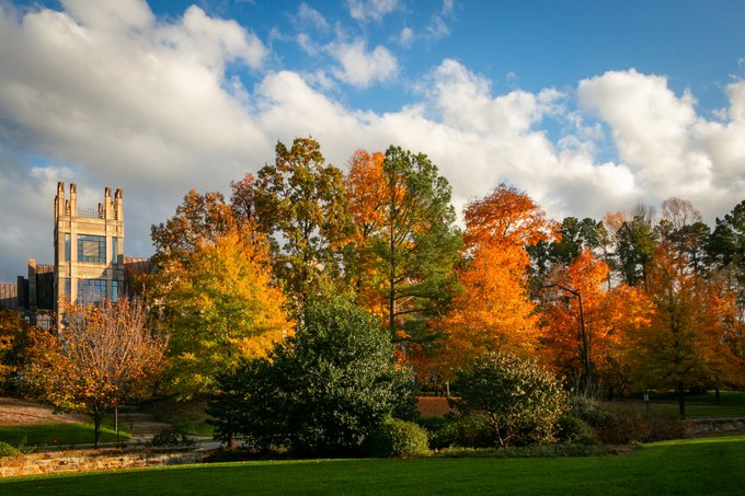 The Sanford School of Public Policy building is surrounded by color fall foliage.