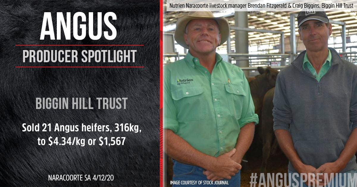 Angus Australia tweet media