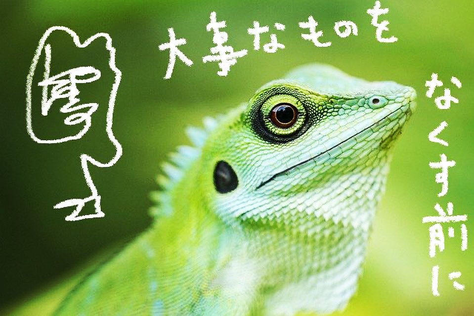 覆水盆に返らず Trsene V Twitter 覆水盆に返らず Trsene V Twitter