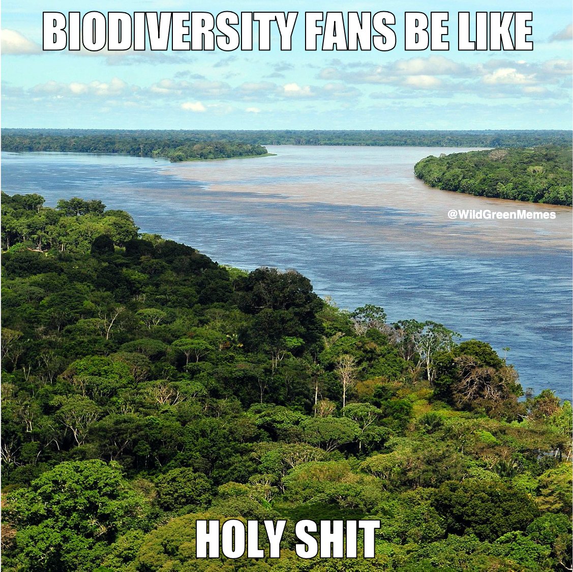 Wild Green Memes for Ecological Fiends (@wildgreenmemes) on Twitter photo 