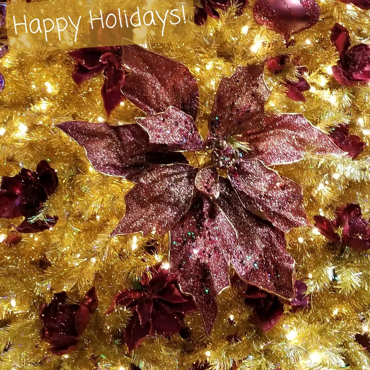 Merry Christmas too all!  🎄