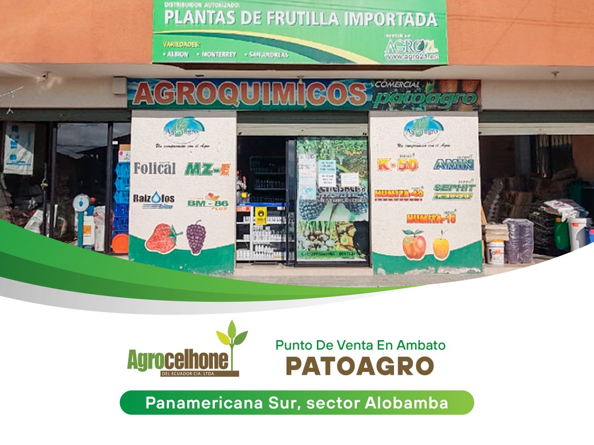 Puntos de Venta en #Ambato 🛒🇪🇨 Encuentra los más eficaces insumos agrícolas para nutrición y protección de tus cultivos en:

📍 PatoAgro - Panamericana Sur, Sector Alobamba
📞 090 106 8985 (Sr. Iván Patricio Ortiz)

#AgrocelhonedelEcuador