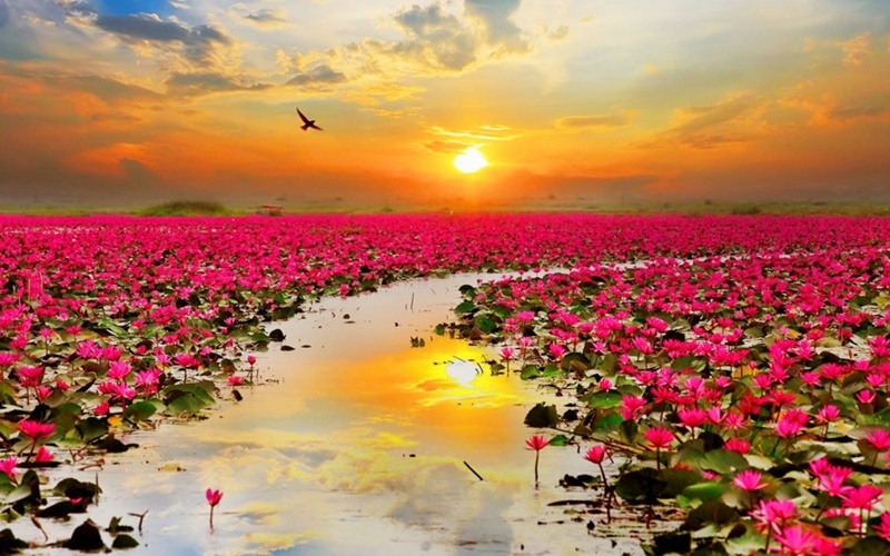 ℭristiαne ❀ tweet media