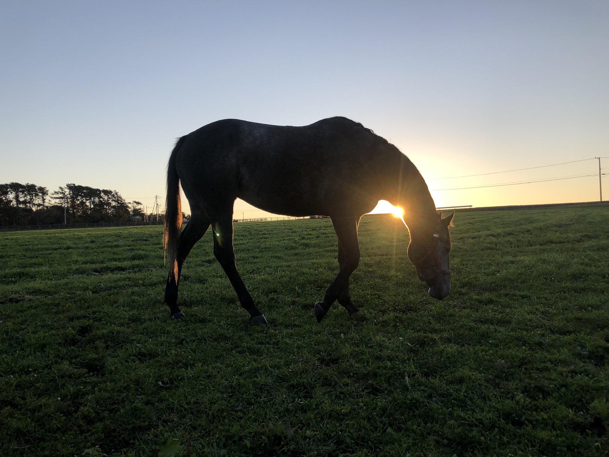 تويتر E6 B9 Af E5 9d E7 80 E6 A8 B9 البحث في تويتر